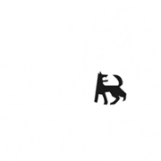 crossfitwolfsburg.com